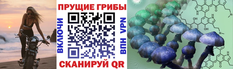 Псилоцибиновые грибы MAGIC MUSHROOMS  Таштагол 